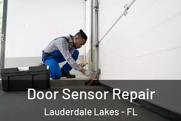Door Sensor Repair Lauderdale Lakes - FL